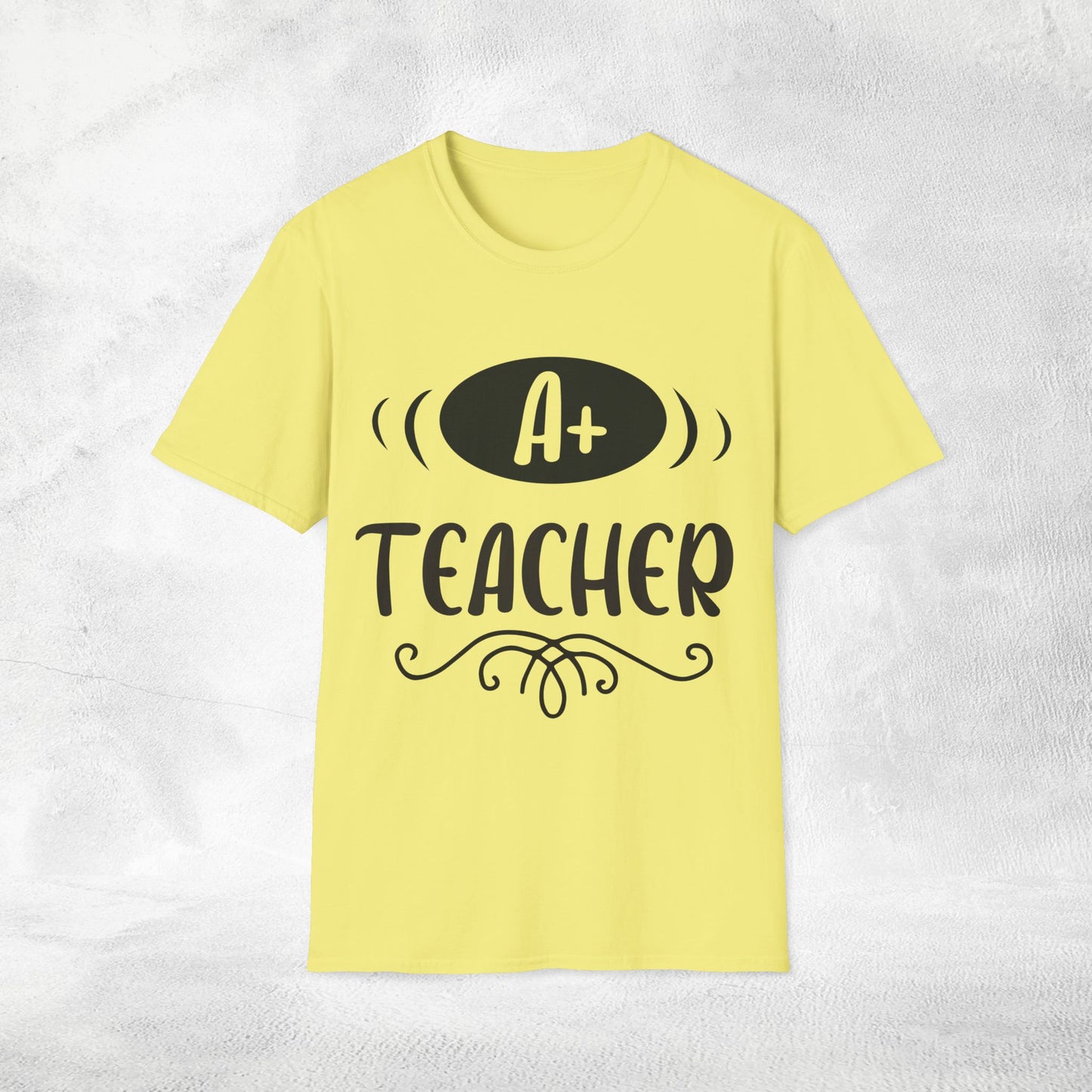 teacher shirt A+ teacher
