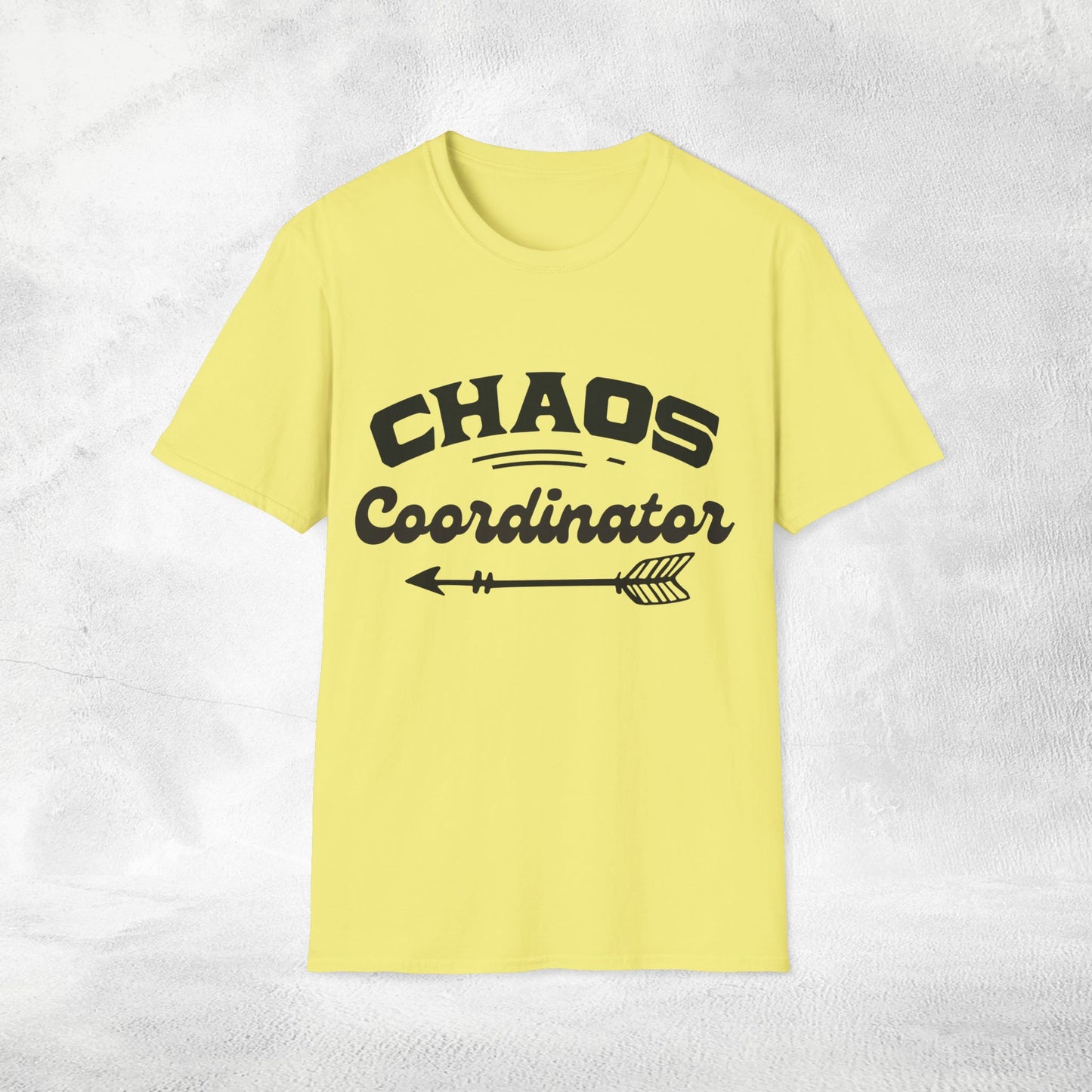 teacher shirt chaos coordinator